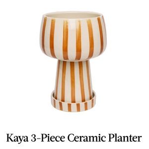 Jungalow® Kaya 3-Piece Ceramic Planter By Justina Blakeney™, coral stripe